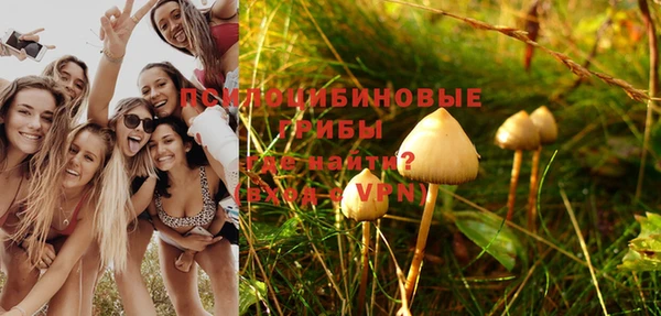 ECSTASY Алексеевка