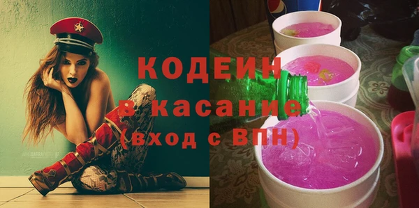 шишки Алексин