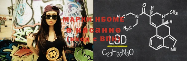 шишки Алексин
