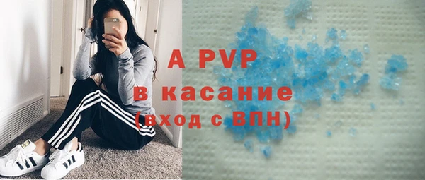 шишки Алексин