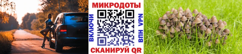 Псилоцибиновые грибы Psilocybine cubensis  купить   Майский 