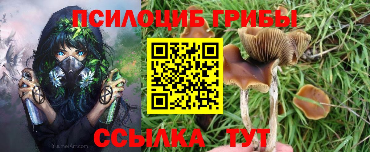 НБОМе  MDMA  Каннабис  Кокаин  Alpha PVP СК   Майский  Вход с VPN  Гашиш  Мефедрон   Cocaine 