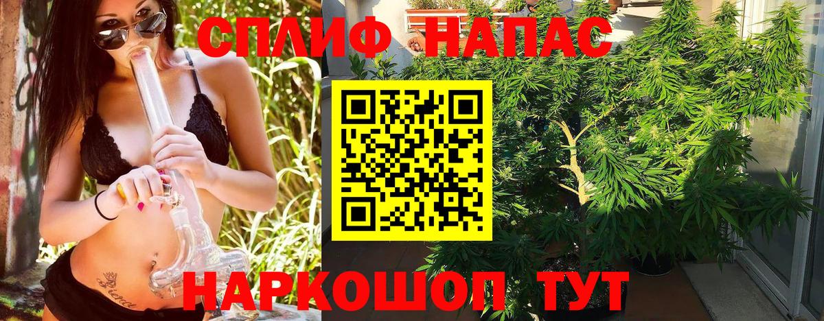 Бошки марихуана White Widow Майский